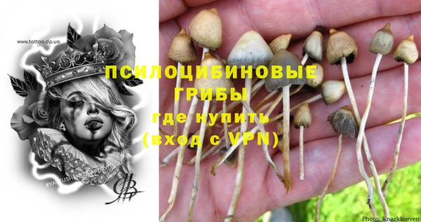 стафф Наволоки