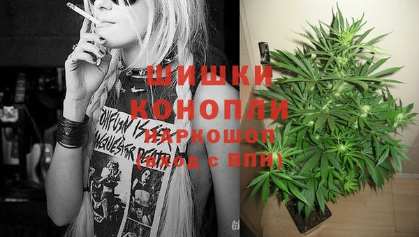 ешки Нефтегорск