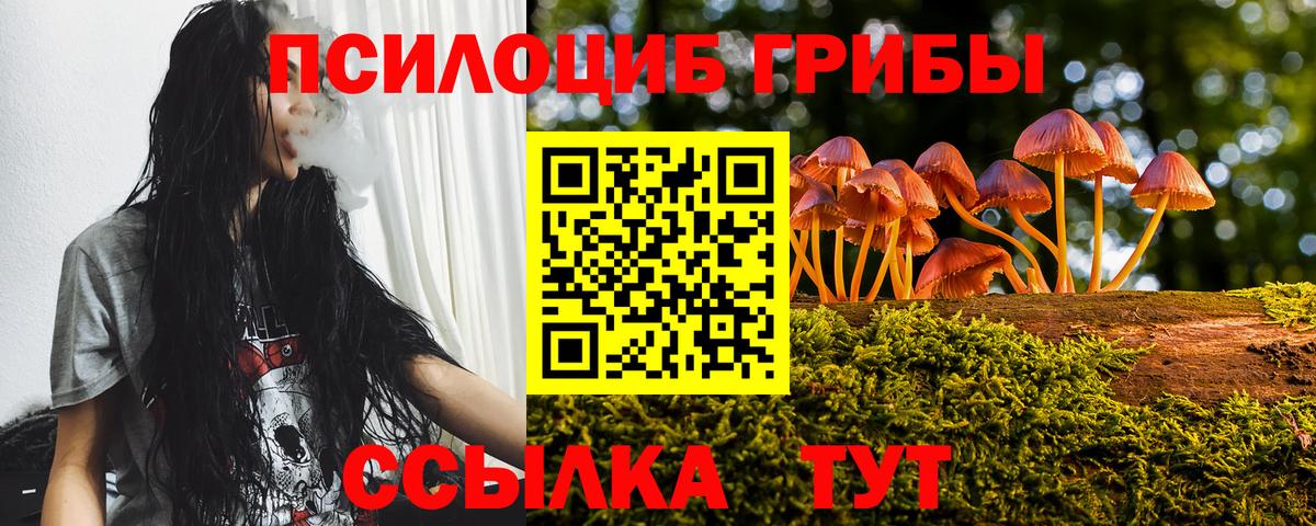 Псилоцибиновые грибы Cubensis  Апшеронск 