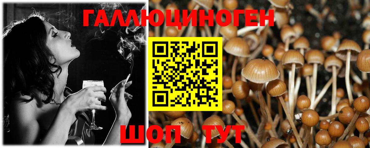 Галлюциногенные грибы Psilocybine cubensis  Вход с VPN  Апшеронск 